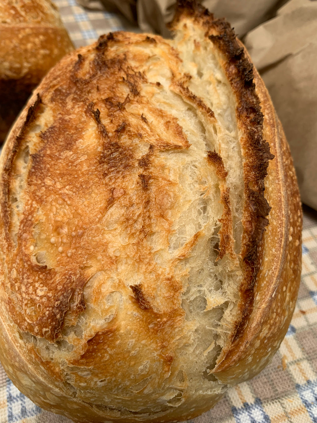 Classic Sourdough