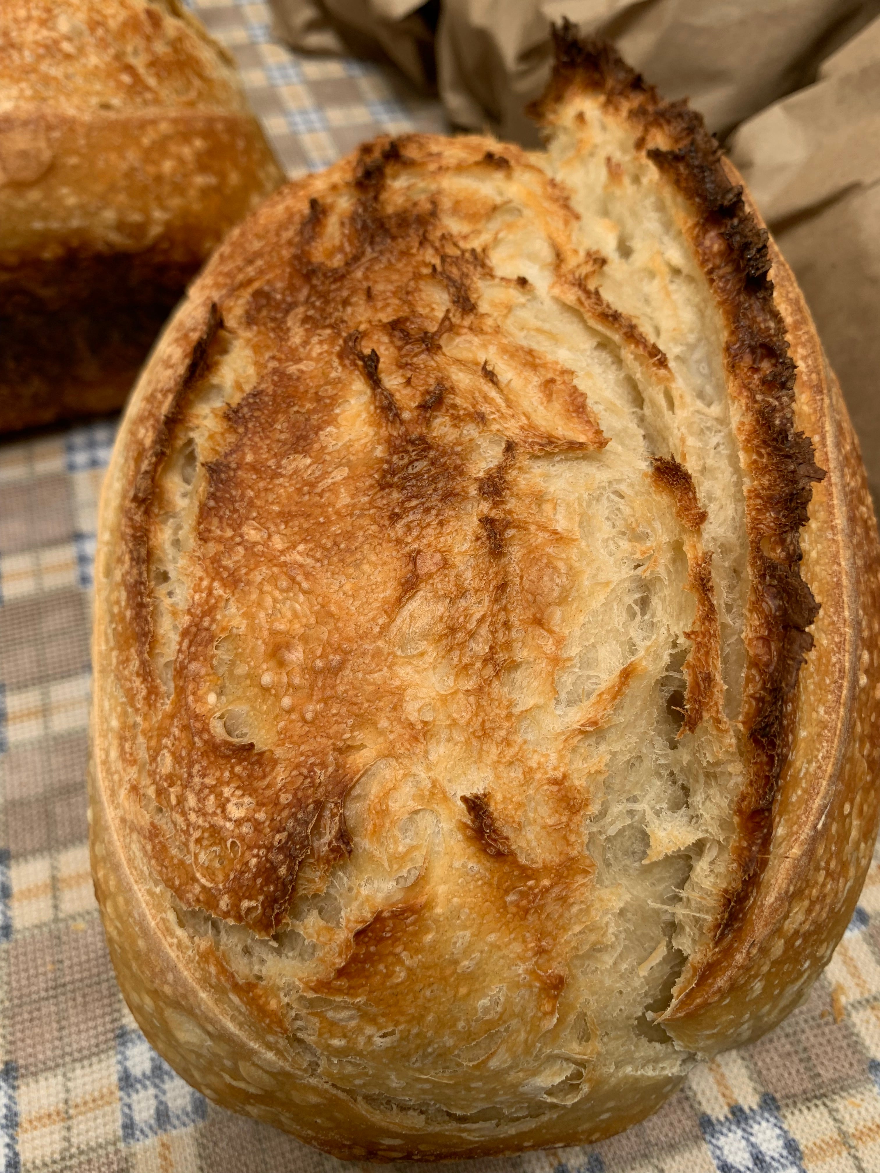Cinnamon & Brown Sugar Sourdough