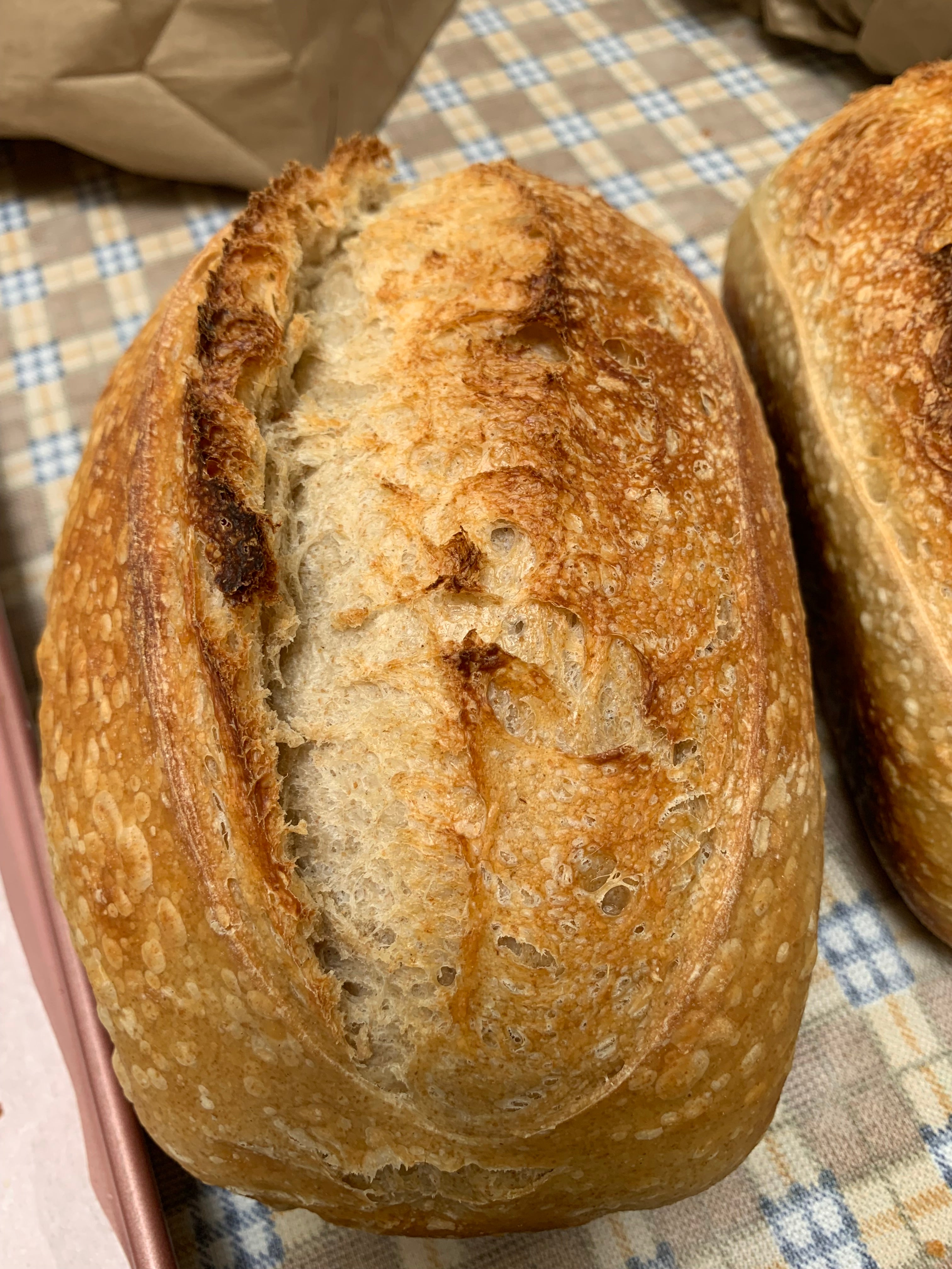 Classic Sourdough
