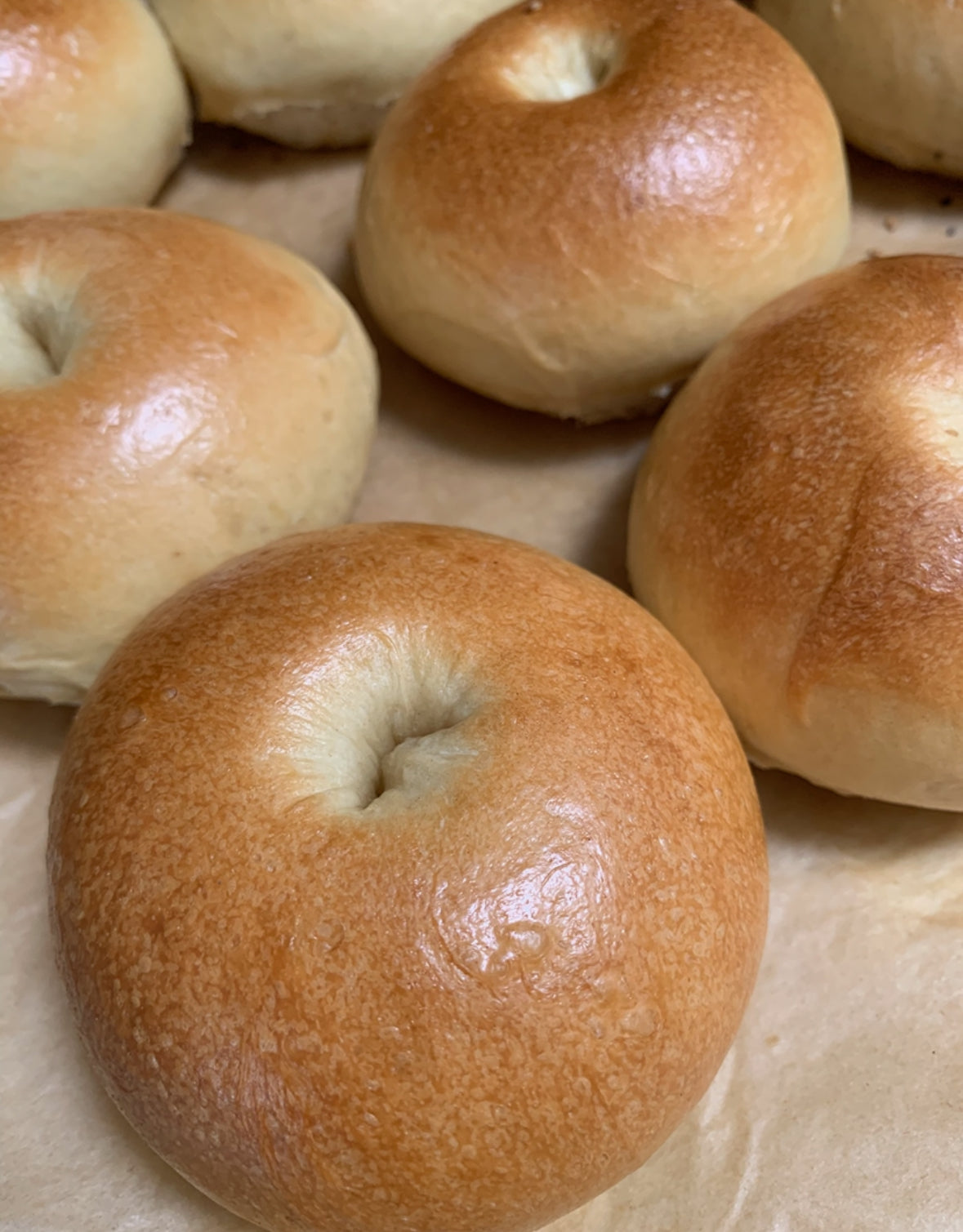 Plain Sourdough Bagel (6 count)