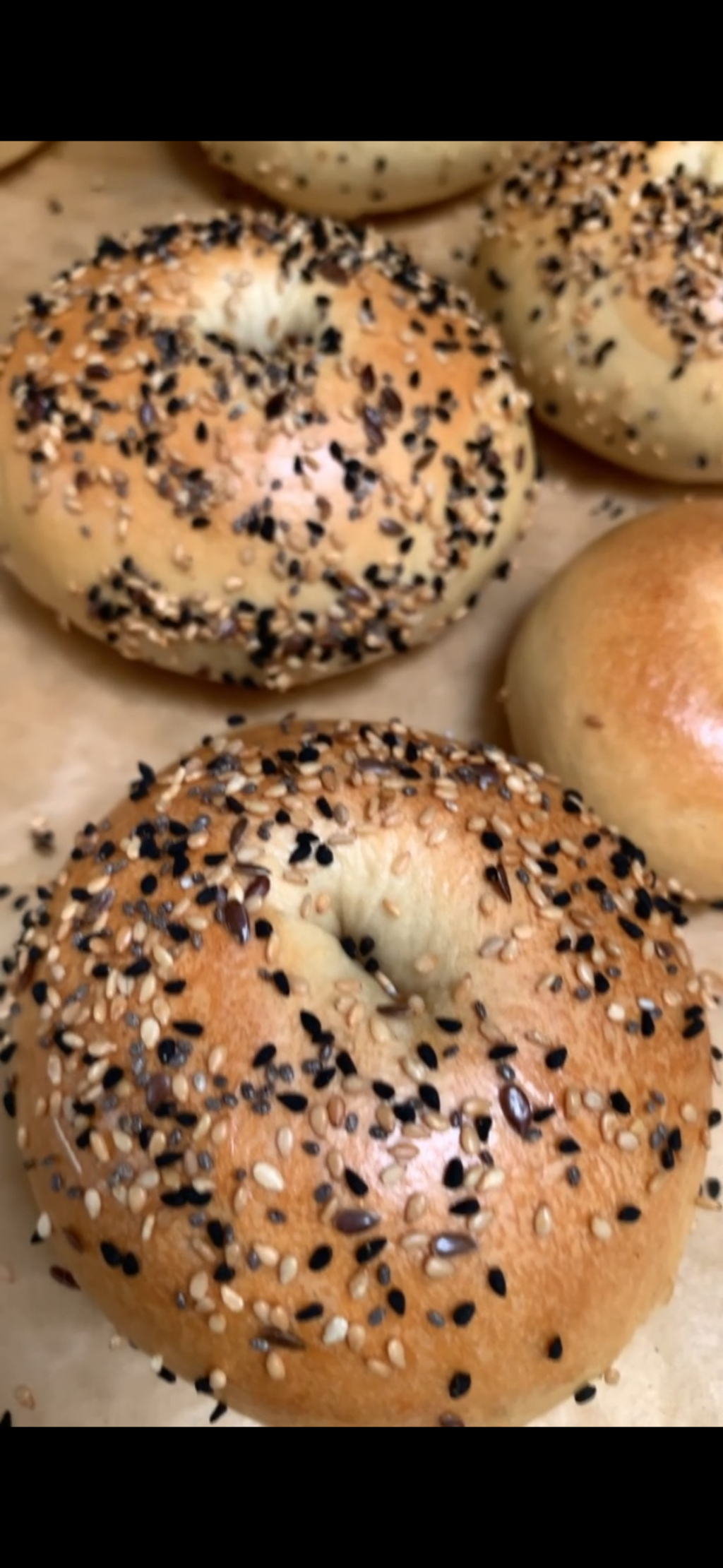 Everything Sourdough Bagel (4 count)