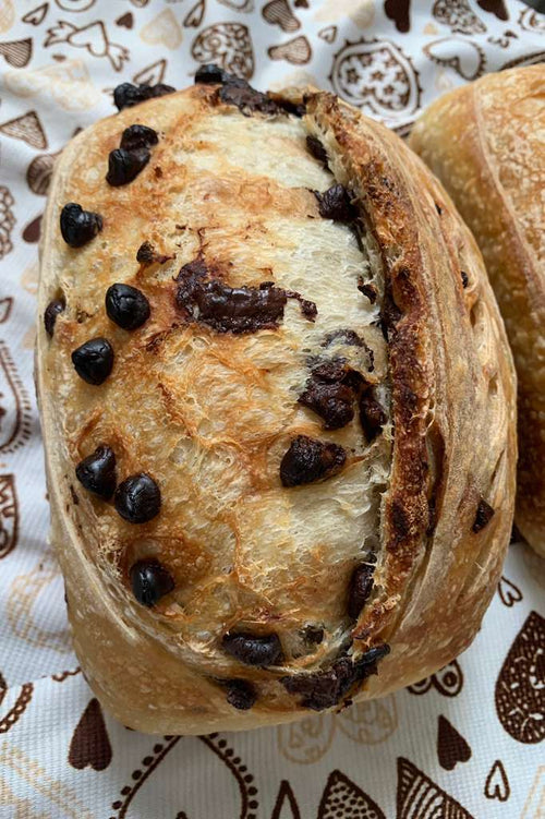 Chocolate Chip Sourdough