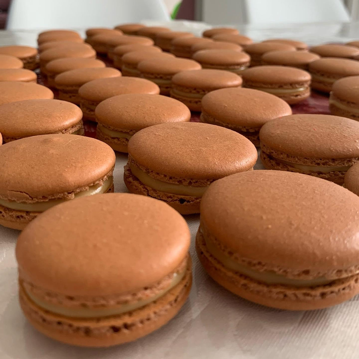 Chocolate Macaron