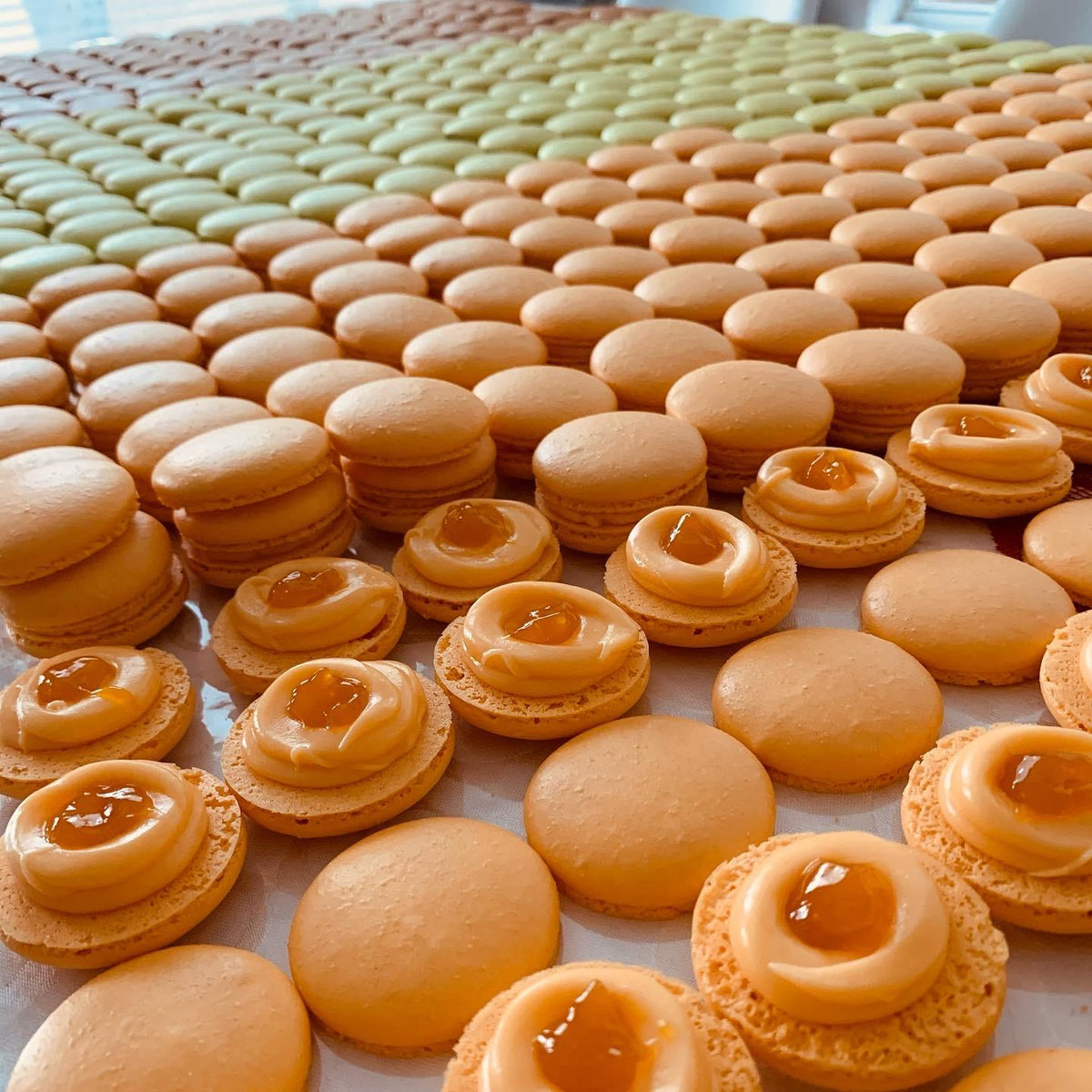 Mango Macaron