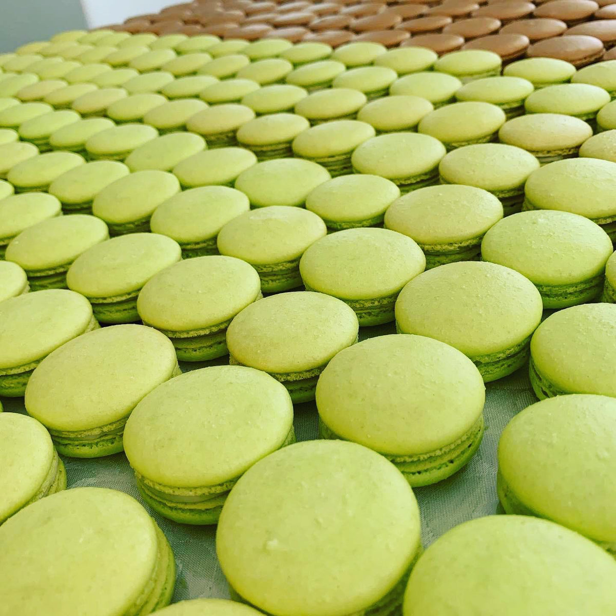 Pistachio Macaron